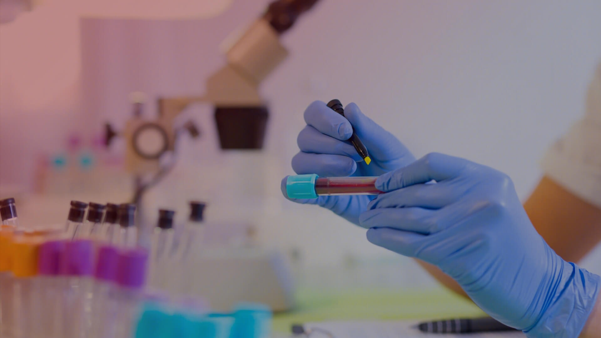 Comprimés composés Biejia Ruangan combinés à la thérapie antivirale et antifibrotique avec l'entécavir