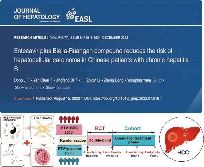 Les Comprimés composés Biejia Ruangan combinés à des médicaments antiviraux peuvent réduire considérablement l'incidence du cancer du foie